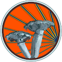 GRREG profile picture